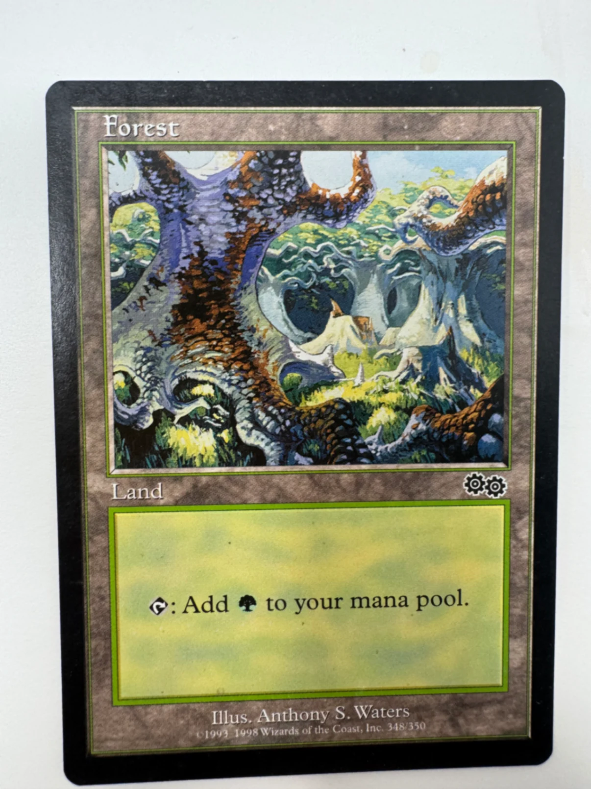 Forest Urza's Saga · Common by David