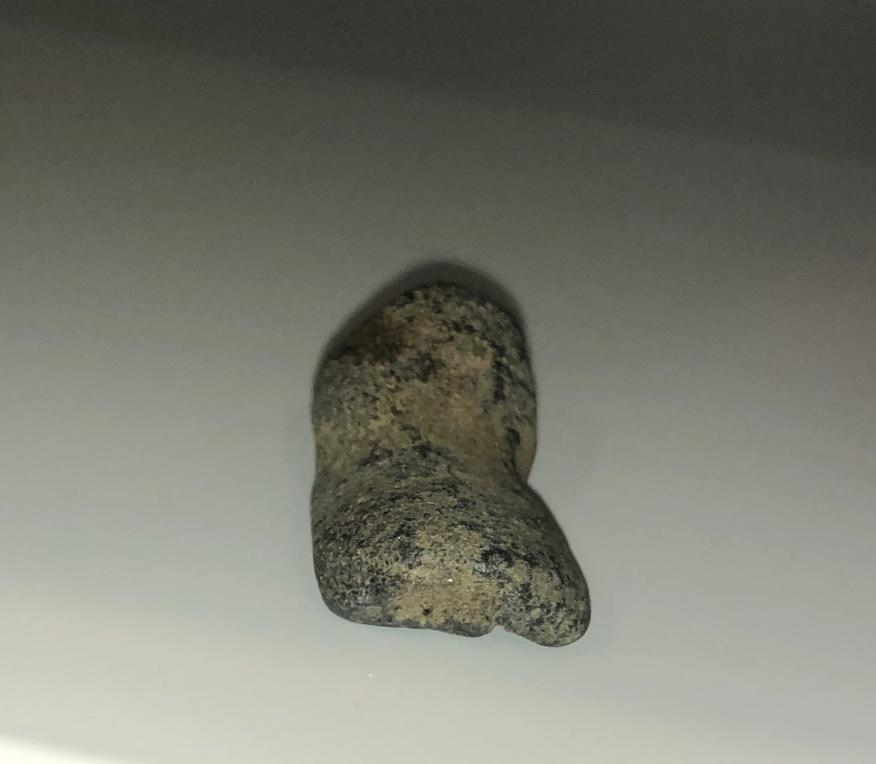 Megafauna Bone Fragment 002 Mammalia indet. by Freckles