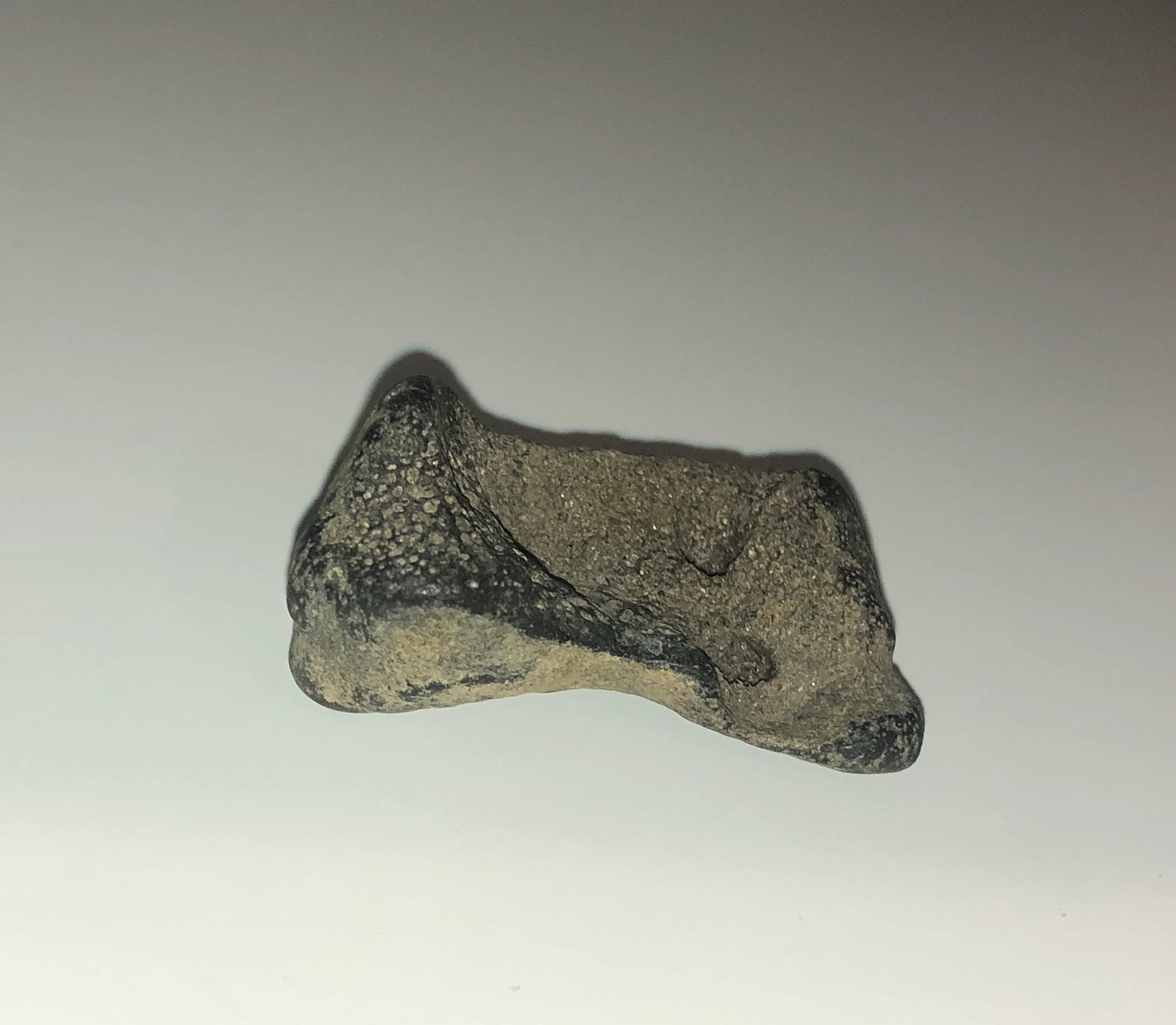 Megafauna Bone Fragment 002 Mammalia indet. by Freckles
