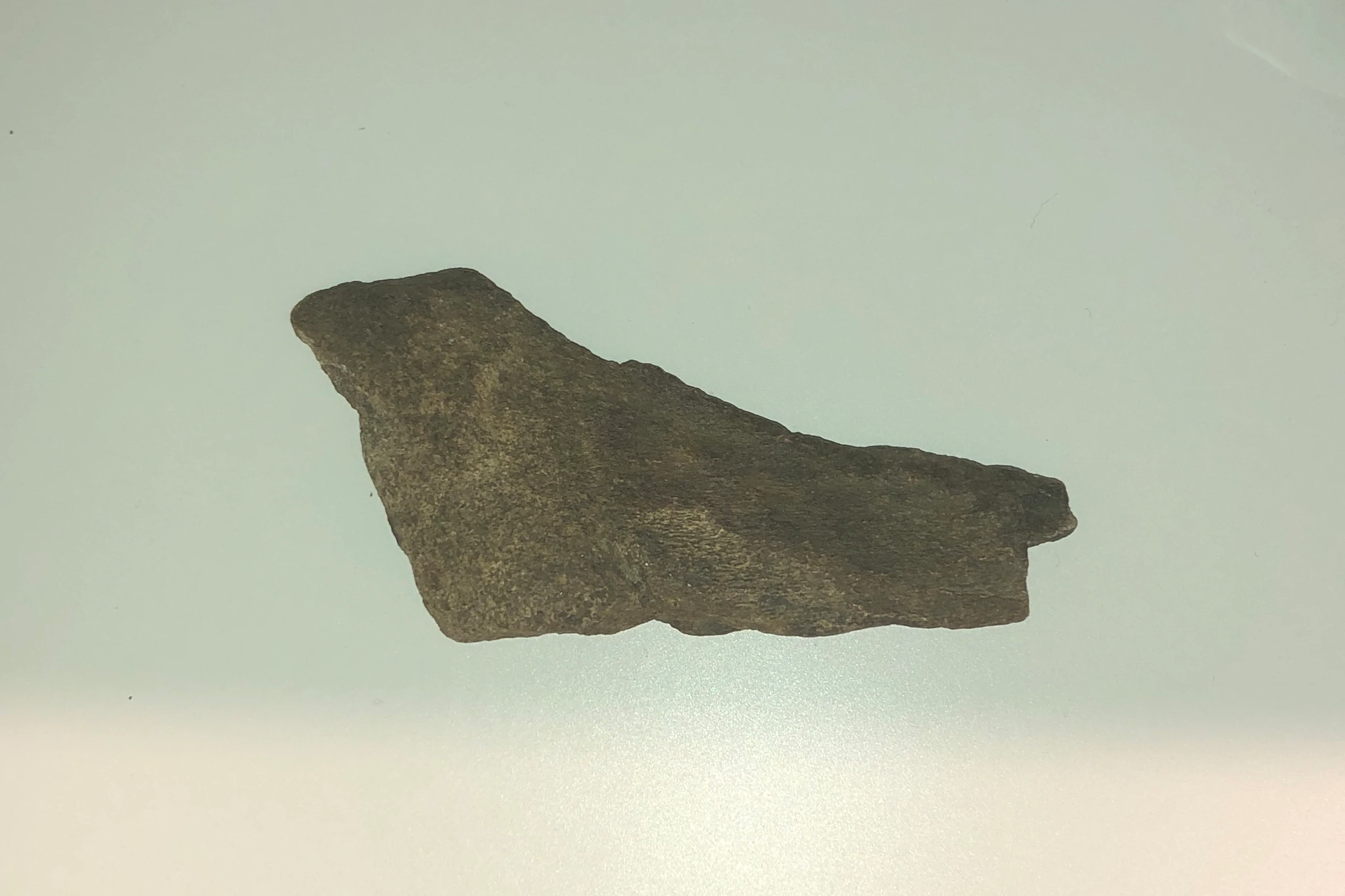 Megafauna Bone Fragment 004 Mammalia indet. by Freckles