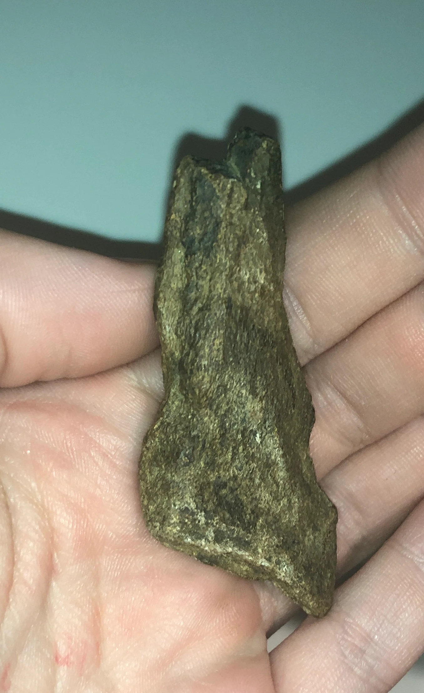 Megafauna Bone Fragment 004 Mammalia indet. by Freckles