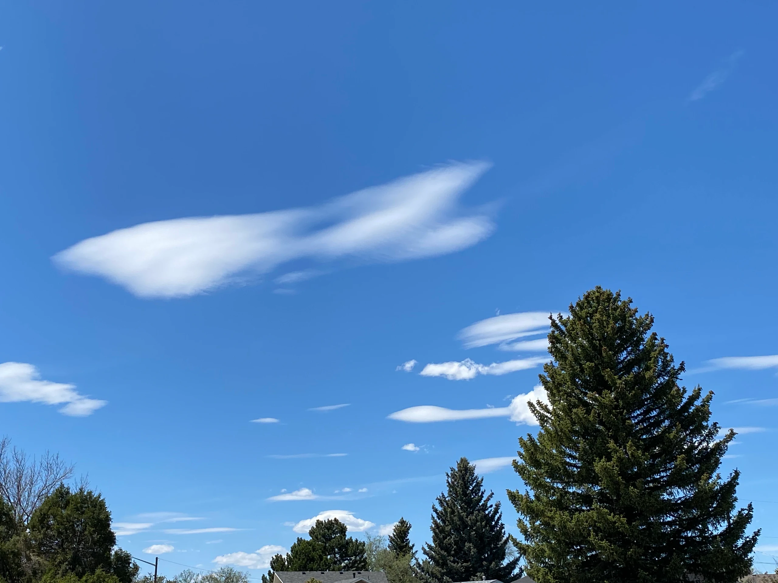 Cirrocumulus lenticularis by space_coyote