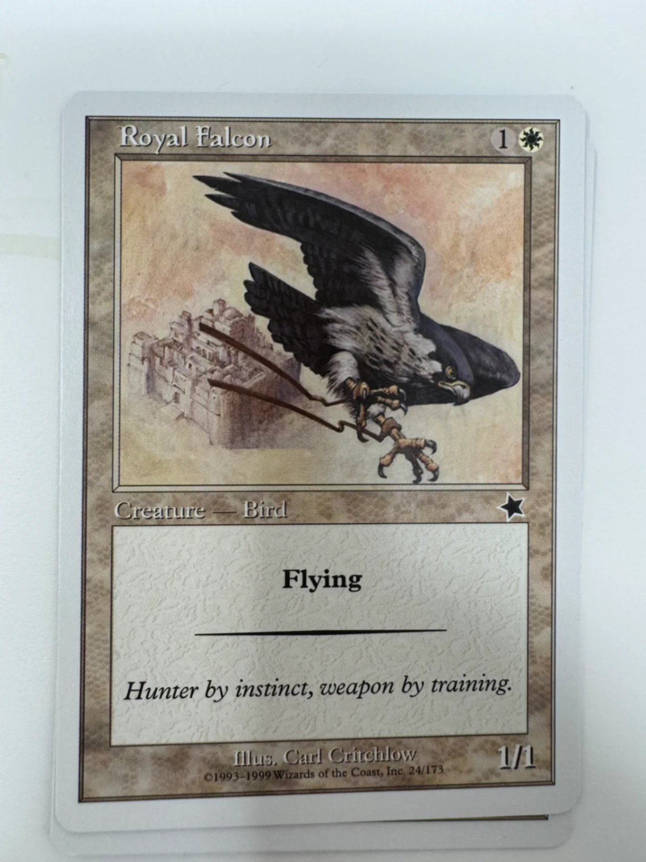 Royal Falcon Starter 1999 · Common by David