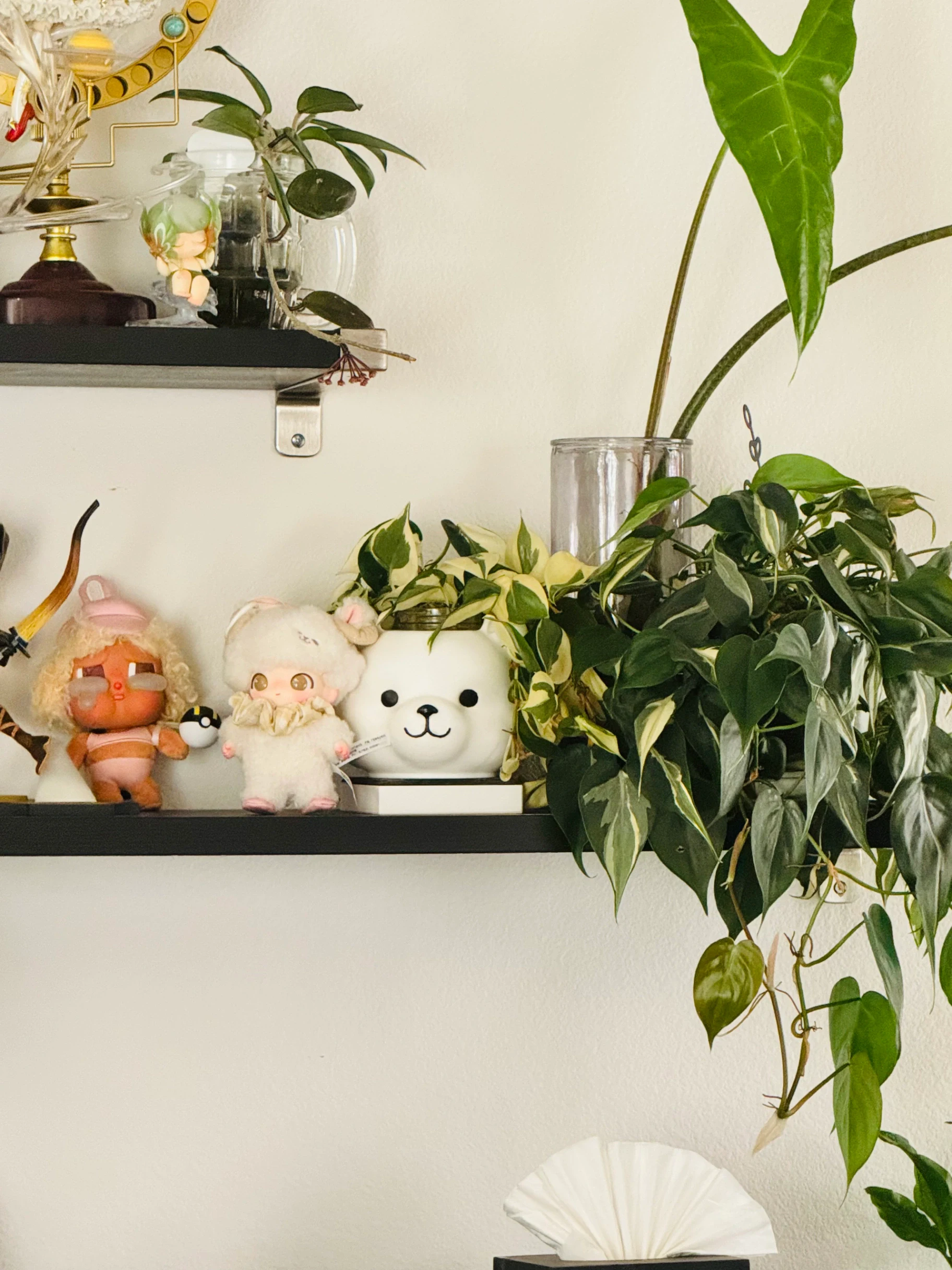 Philodendron Rio by Labuleaf