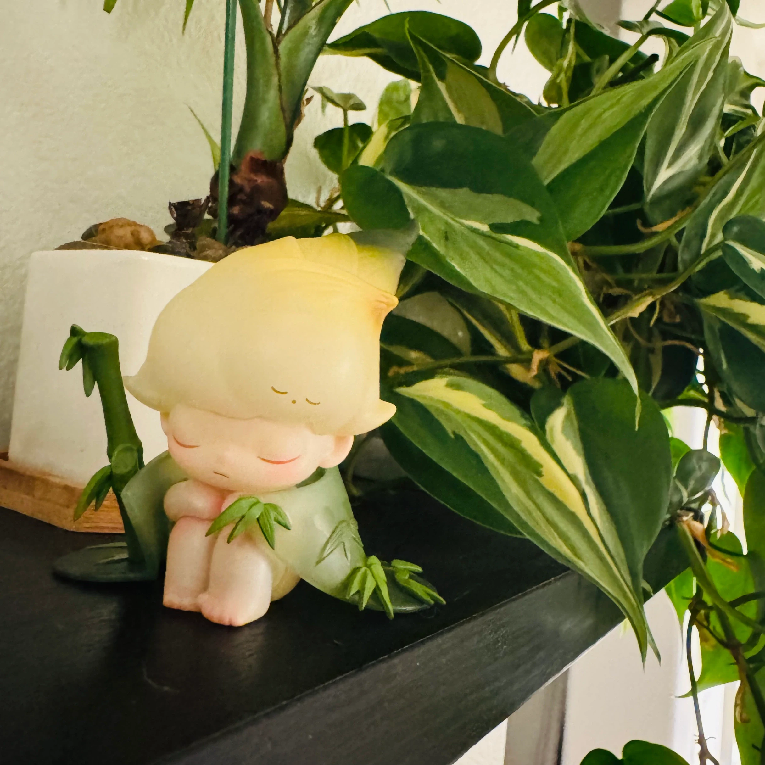 Philodendron Rio by Labuleaf