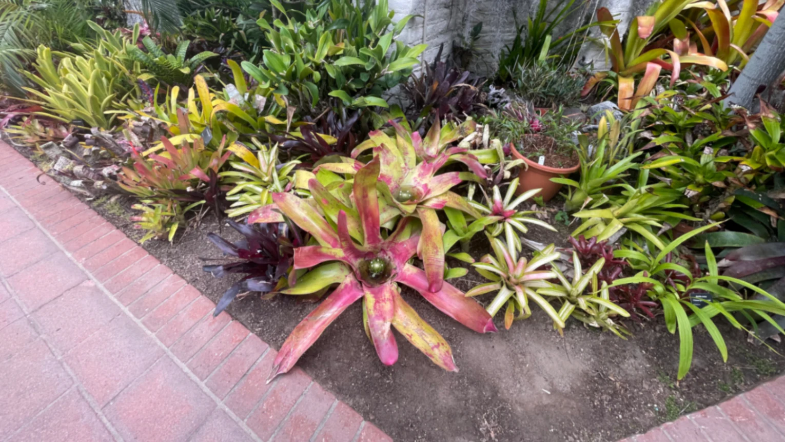 Sherman Library and Gardens Botanical Garden • Jun 20, 2021 by David