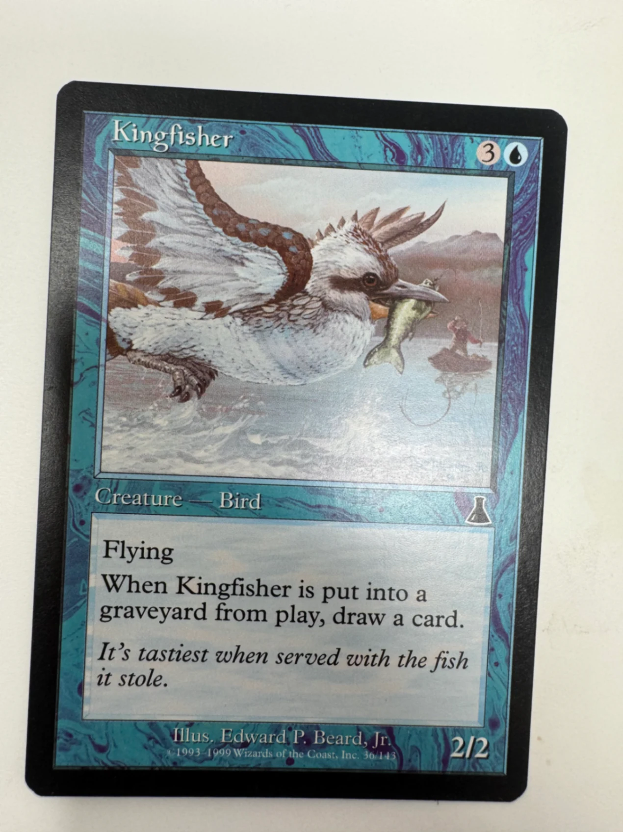 Kingfisher Urza's Destiny · Common by David
